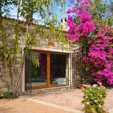 Mandarin By Important Group Travel Villa *