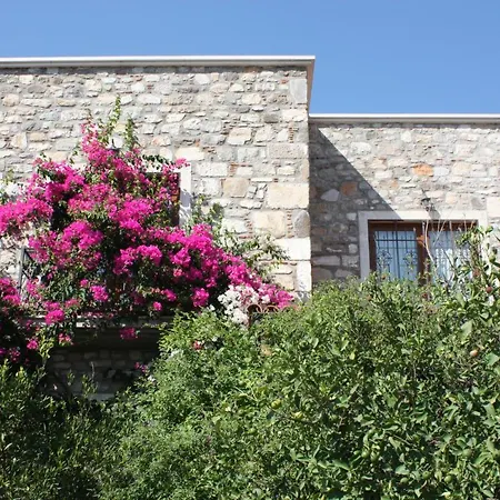 Mandarin By Important Group Travel Bitez