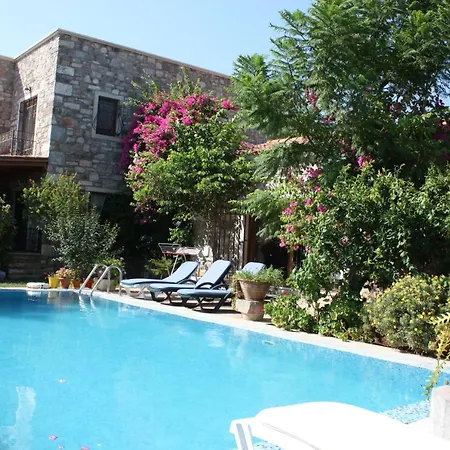 Mandarin By Important Group Travel *