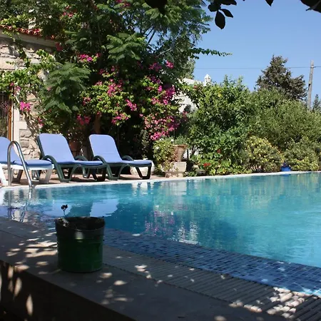 Mandarin By Important Group Travel 比特兹