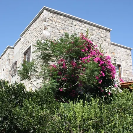 Villa Mandarin By Important Group Travel *